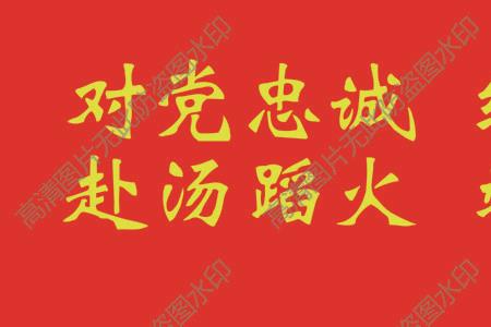 忠诚于党的理论路线方针的例子