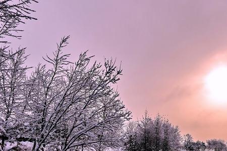 世态云多幻，人情雪易消什么意思