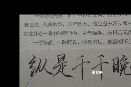 月色不晚小说大结局