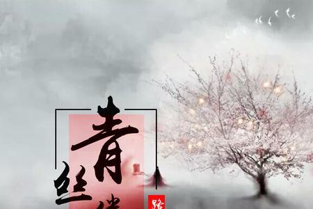 歌词有白发是什么歌