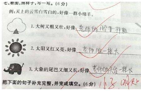 不是而是怎么造句