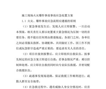 特大火灾事故处置方案
