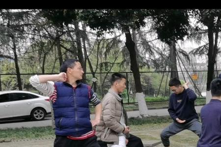 八极拳两仪桩精髓