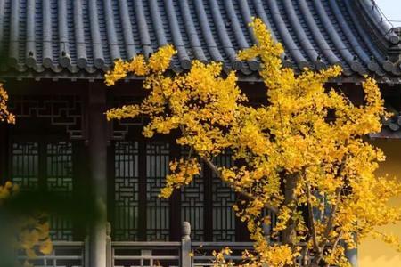 人已变景未变的诗句