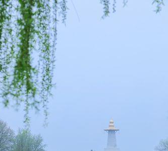 烟雨蒙蒙的蒙是哪个蒙