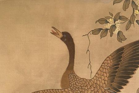 飞鸟走兽是什么意思