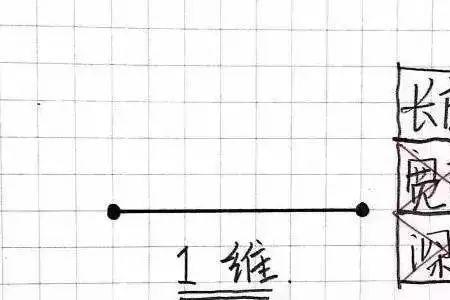 生命宽度与长度的区别