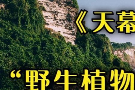 小说天幕红尘人物介绍