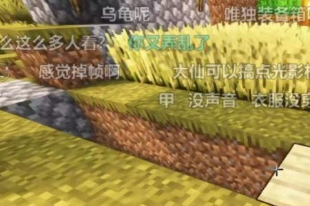 张大仙玩我的世界是哪个版本
