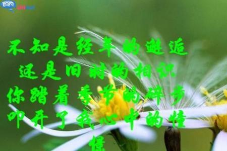 缘分成为母子的句子
