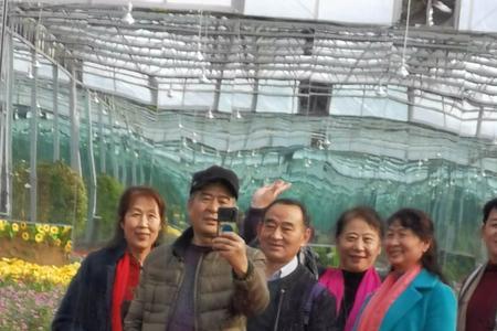 邹城花谷王门票