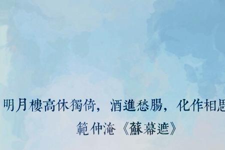 酒可解世间万般惆怅
