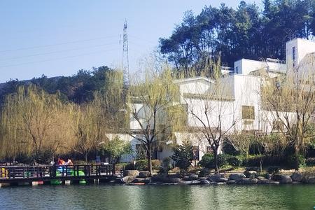 溪上溪东溪头是什么意思