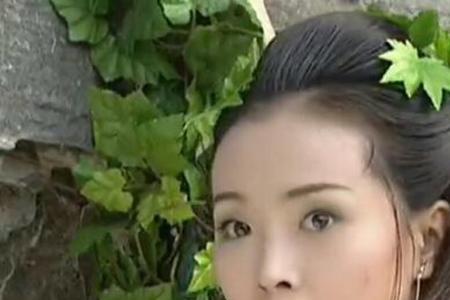 儒林外史白飞飞临死说话