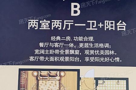 秦建东城丽景为什么便宜