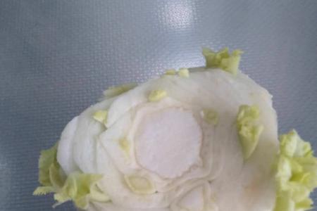白菜根下为什么会长萝卜头