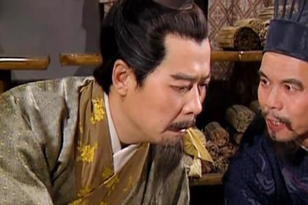三国正史24谋士排名