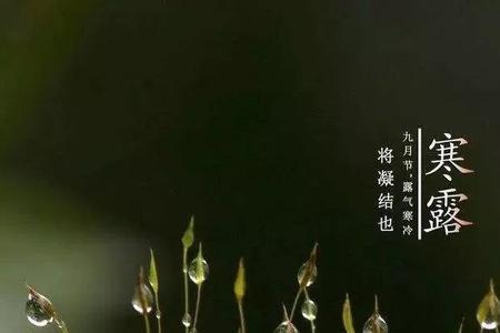 寒露可以扫地吗