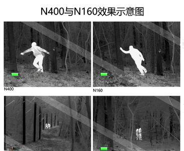 红外夜视仪能发现斑鸠吗