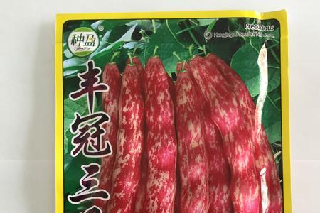 红金钩豆角怎么冻