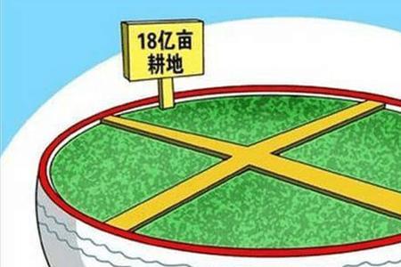 耕地保护补偿金政策最新规定