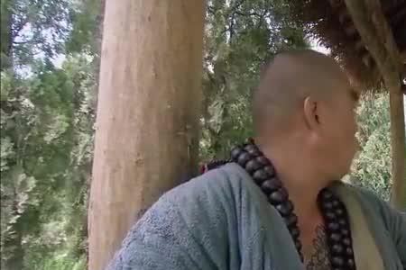 鲁智深大战丘小乙是哪集