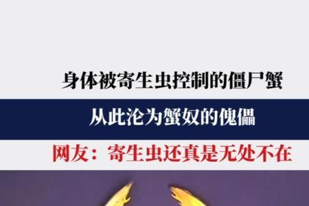 蟹奴如果寄生在人身上会怎样