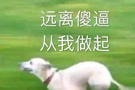 我老婆有点SB怎么办