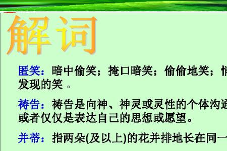 荷叶母亲朗读停顿划分