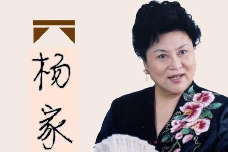 评书杨怀玉征西刘兰芳播讲
