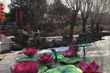 大观园60岁免票吗