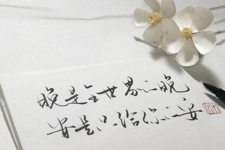 为什么他不回晚安只回晚
