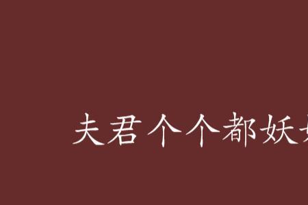 一个女主四个夫君的小说