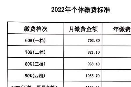 福建南平灵活就业2022缴费标准