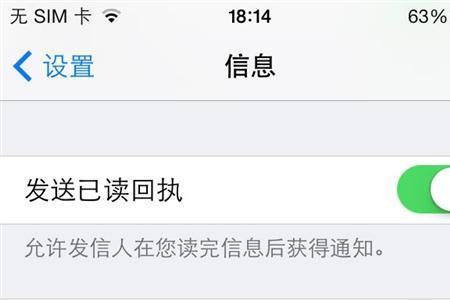 怎么在苹果手机上查看文章字数