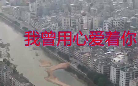 把你的心交给了我原唱