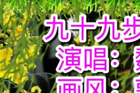我能否99步去爱你原唱是谁