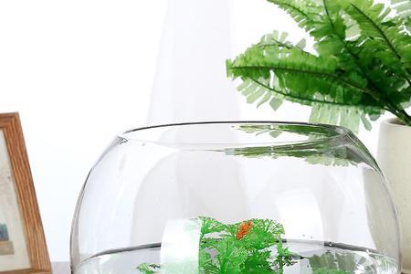 3.6米鱼缸用多厚玻璃