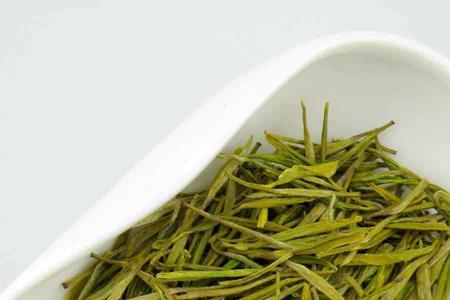 安吉白茶叶片发黄