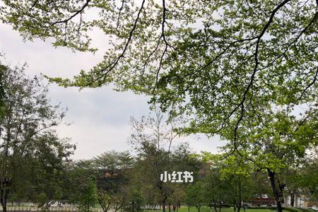 金牛公园几点关门
