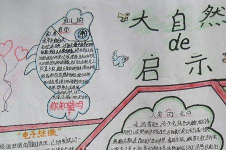 名人得到大自然启示故事
