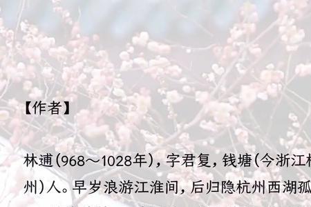 含段和芳的诗词