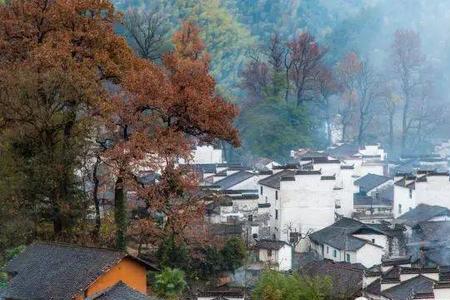 秋田在室外能抵抗的温度