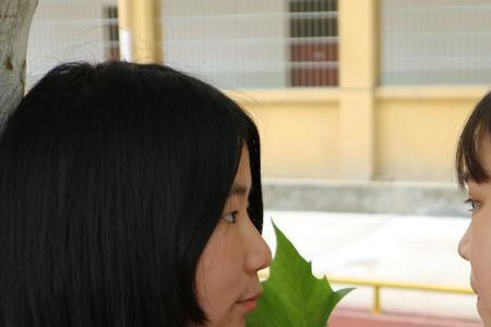 同桌与同窗有什么区别