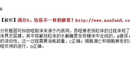 高尔基体能产生水吗