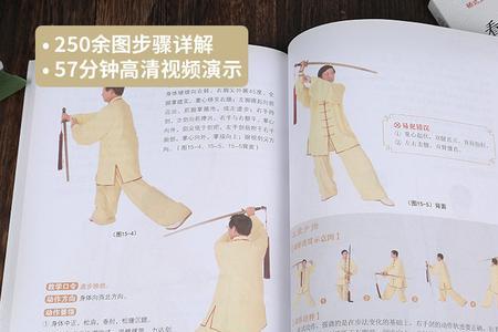 杨氏42式太极拳带野分鬃教学