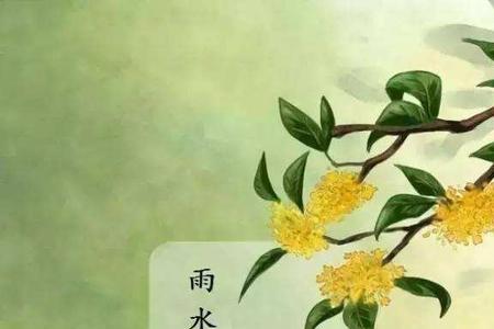 未什么已立秋