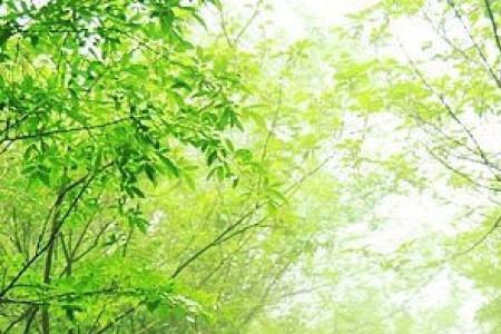 人生亦如此是什么意思