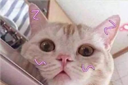 好的谢谢啦怎么回复最撩人