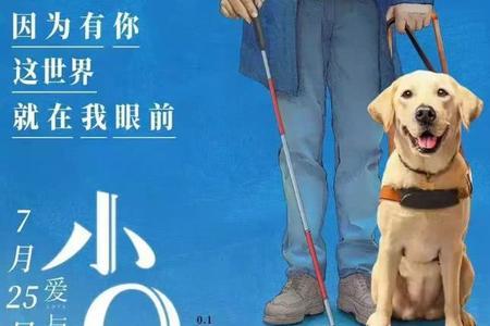 谁能告诉我导盲犬小q的结局